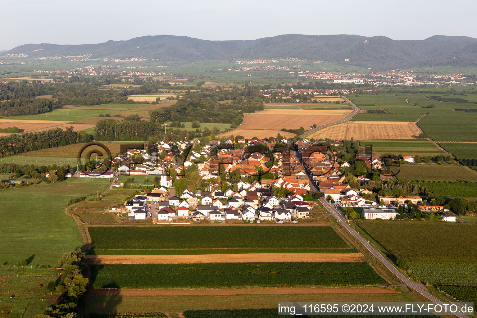 Vue aérienne de Altdorf dans le département Rhénanie-Palatinat, Allemagne