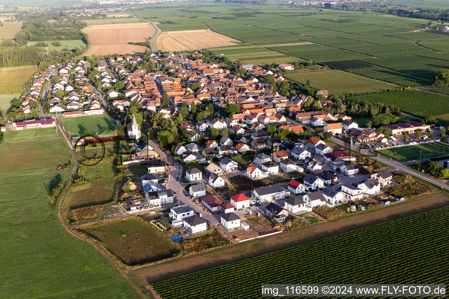 Photographie aérienne de Altdorf dans le département Rhénanie-Palatinat, Allemagne