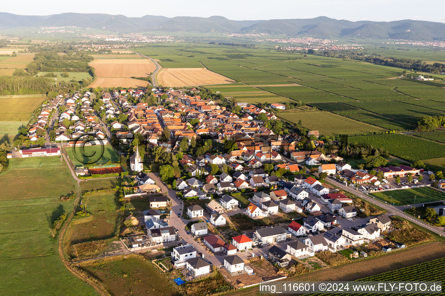 Vue oblique de Altdorf dans le département Rhénanie-Palatinat, Allemagne