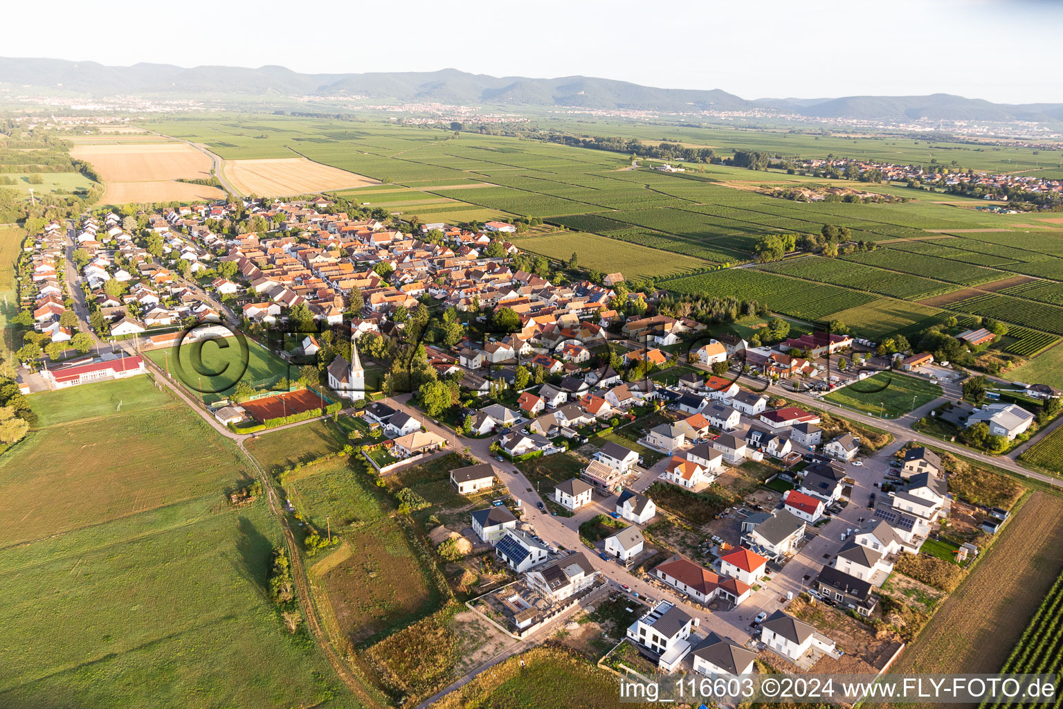 Altdorf dans le département Rhénanie-Palatinat, Allemagne d'en haut