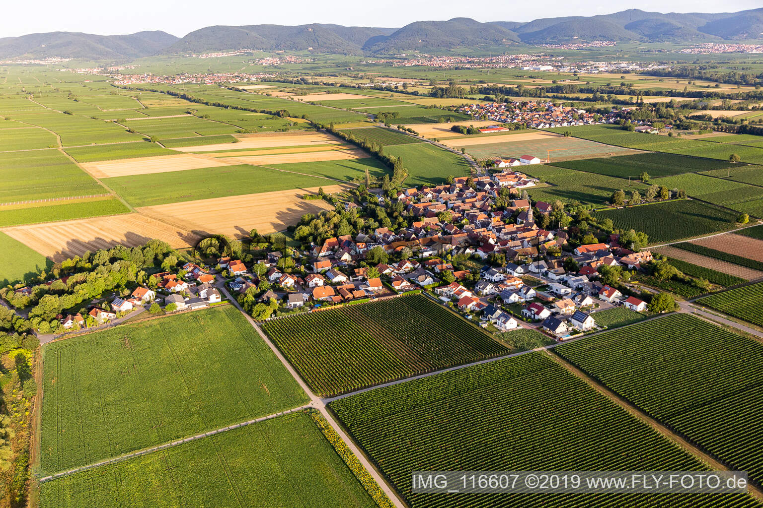 Enregistrement par drone de Kleinfischlingen dans le département Rhénanie-Palatinat, Allemagne