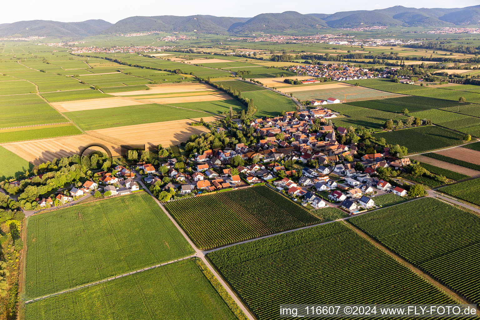 Enregistrement par drone de Kleinfischlingen dans le département Rhénanie-Palatinat, Allemagne