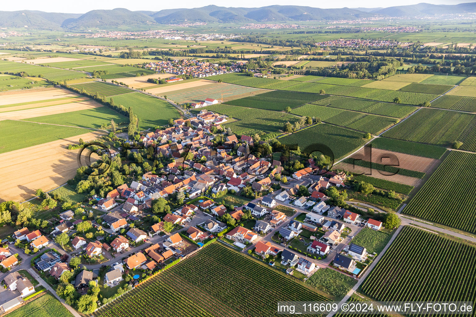 Image drone de Kleinfischlingen dans le département Rhénanie-Palatinat, Allemagne