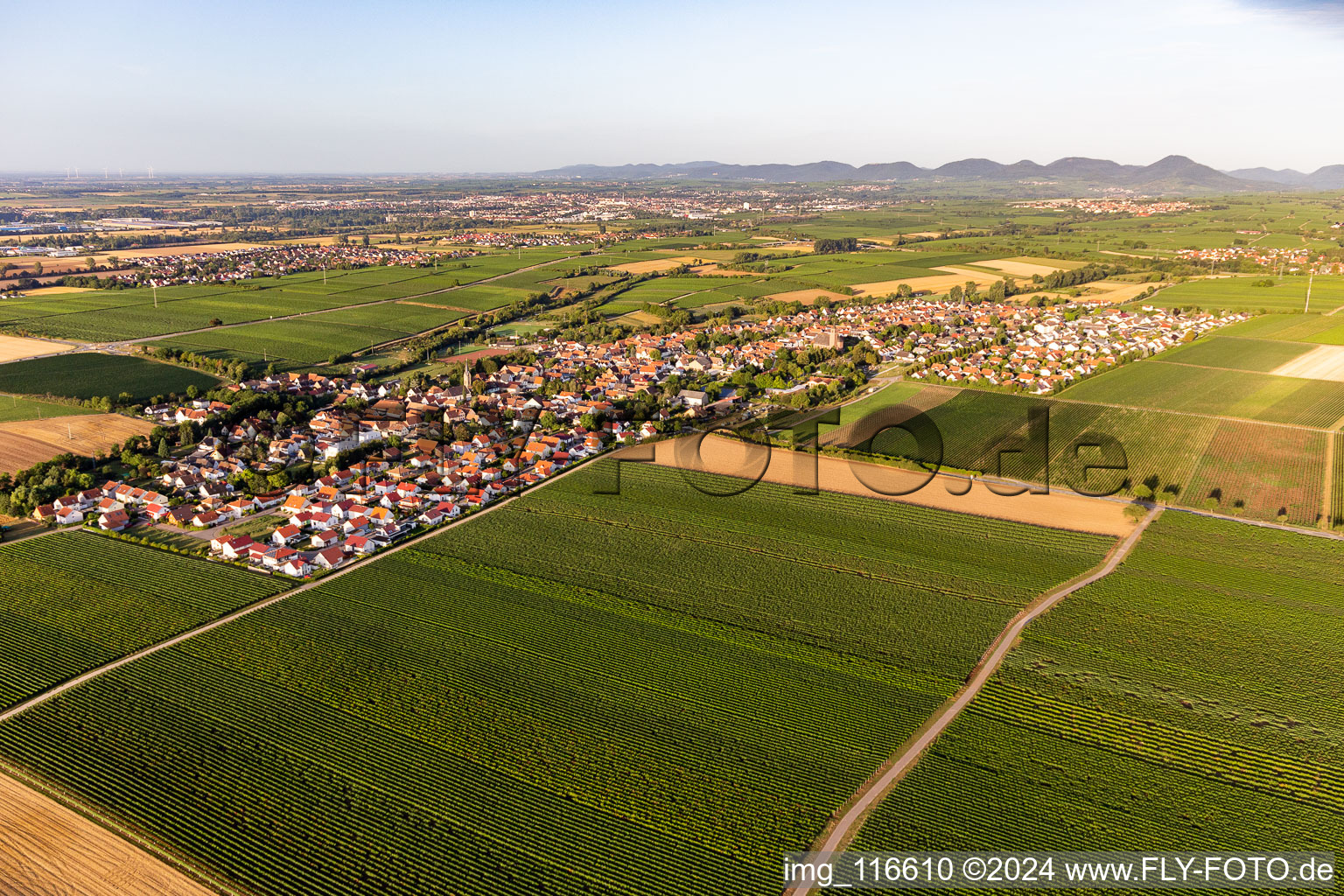 Essingen dans le département Rhénanie-Palatinat, Allemagne d'en haut