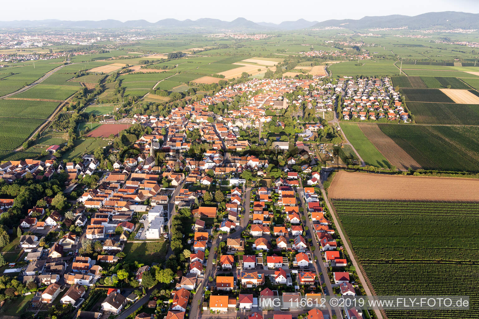 Vue aérienne de Essingen dans le département Rhénanie-Palatinat, Allemagne