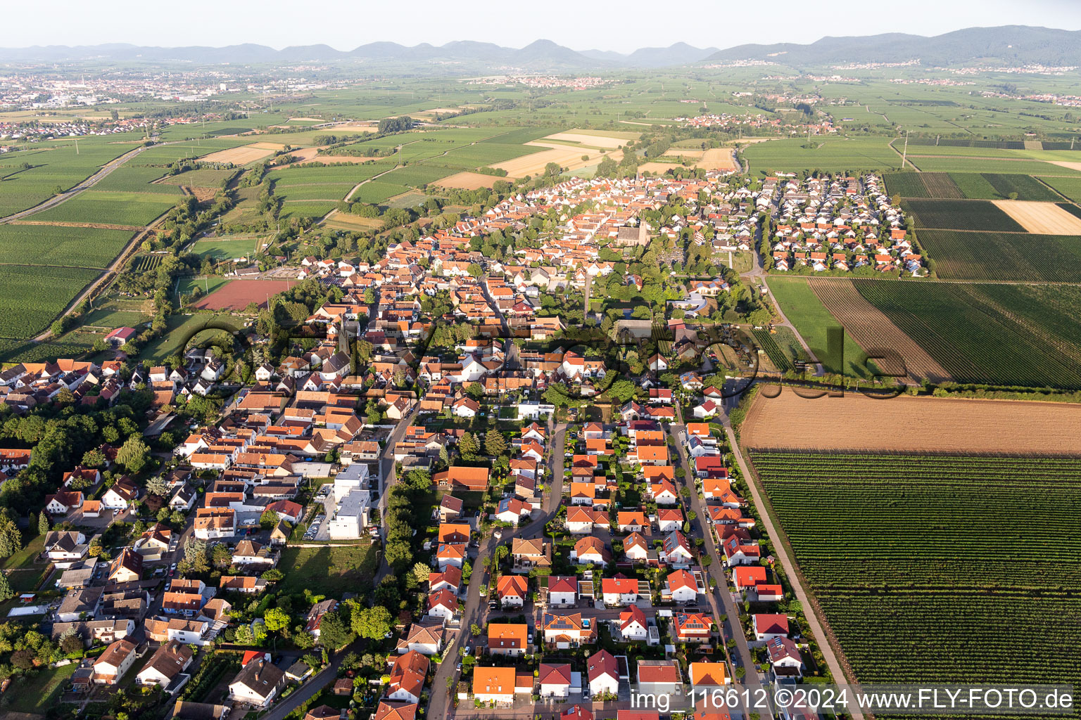 Vue aérienne de Essingen dans le département Rhénanie-Palatinat, Allemagne