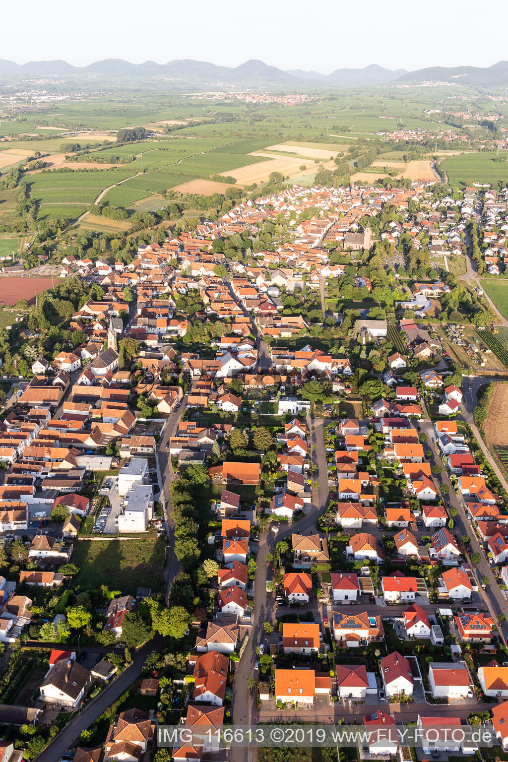 Essingen dans le département Rhénanie-Palatinat, Allemagne vue d'en haut