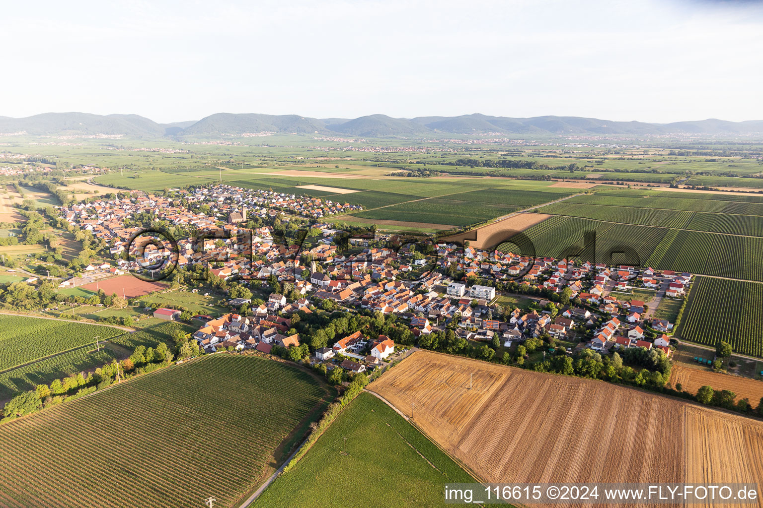 Essingen dans le département Rhénanie-Palatinat, Allemagne depuis l'avion