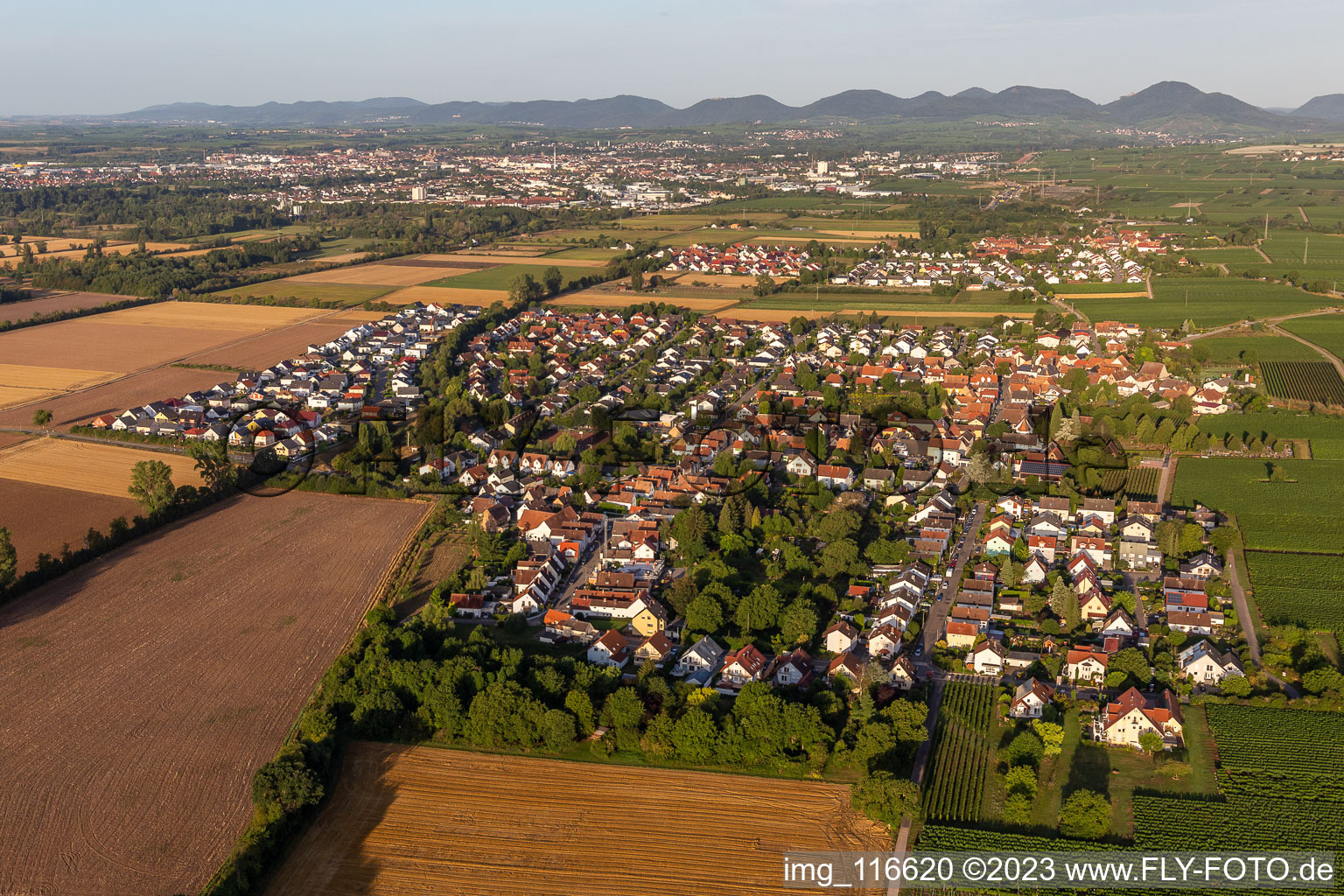 Vue aérienne de Bornheim dans le département Rhénanie-Palatinat, Allemagne