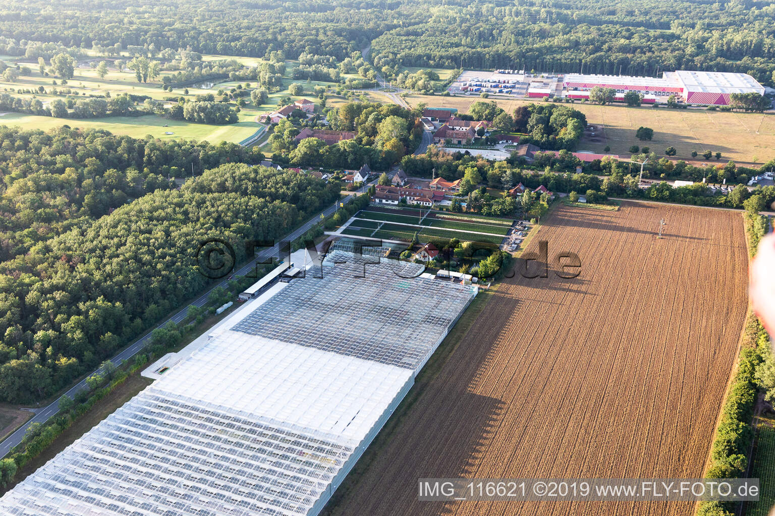 Vue aérienne de Géraniums endémiques à le quartier Dreihof in Essingen dans le département Rhénanie-Palatinat, Allemagne