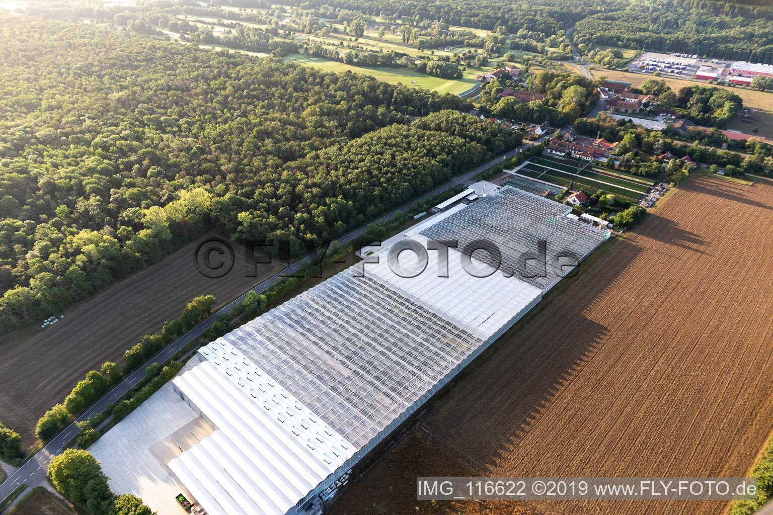 Vue aérienne de Géraniums endémiques à le quartier Dreihof in Essingen dans le département Rhénanie-Palatinat, Allemagne