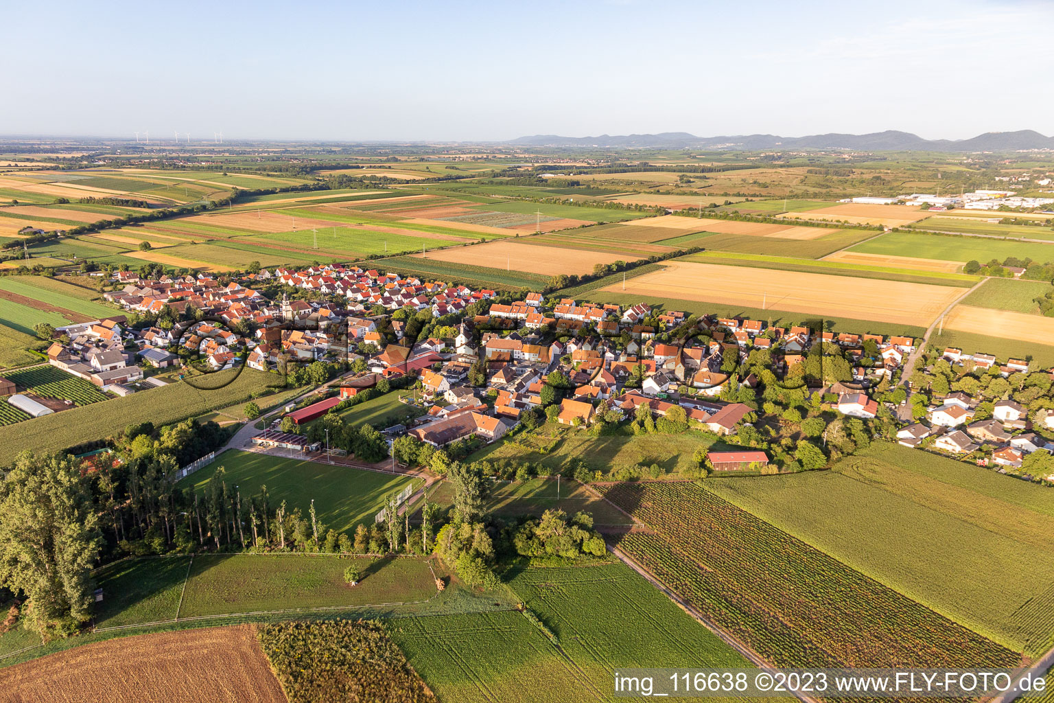 Vue aérienne de Champs agricoles et surfaces utilisables à le quartier Mörlheim in Landau in der Pfalz dans le département Rhénanie-Palatinat, Allemagne