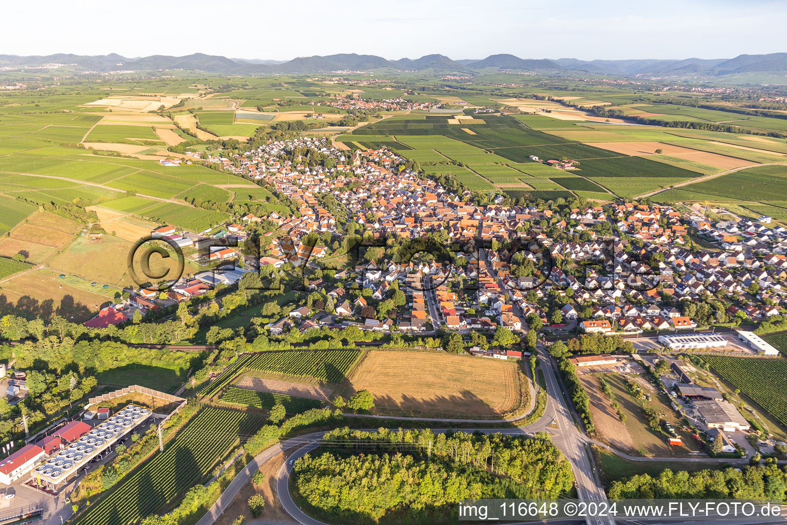 Vue aérienne de Insheim dans le département Rhénanie-Palatinat, Allemagne