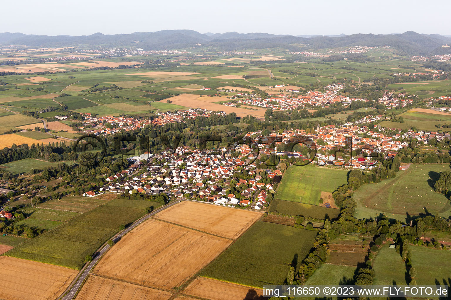 Vue aérienne de Quartier Billigheim in Billigheim-Ingenheim dans le département Rhénanie-Palatinat, Allemagne