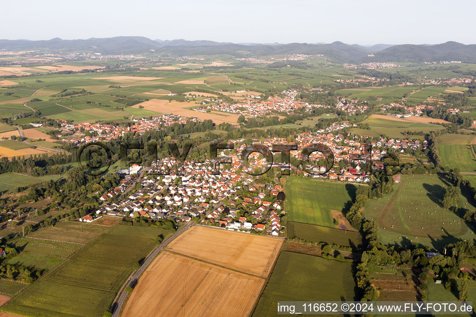 Photographie aérienne de Quartier Billigheim in Billigheim-Ingenheim dans le département Rhénanie-Palatinat, Allemagne