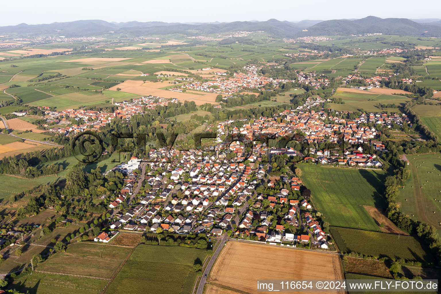 Vue oblique de Quartier Billigheim in Billigheim-Ingenheim dans le département Rhénanie-Palatinat, Allemagne