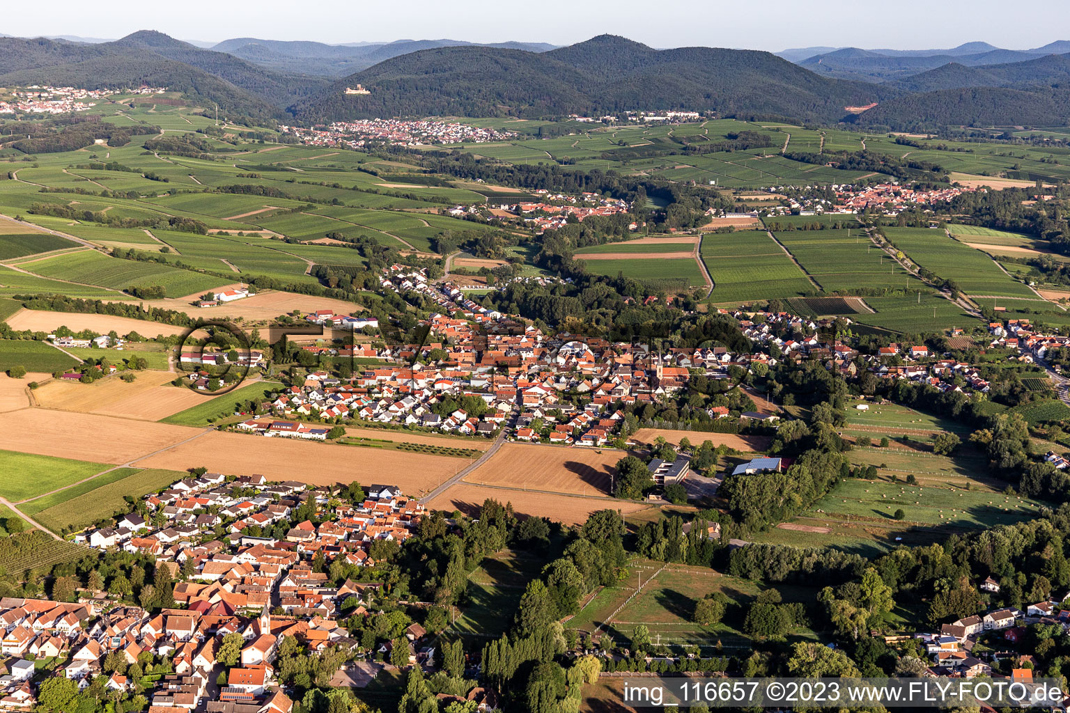 Quartier Ingenheim in Billigheim-Ingenheim dans le département Rhénanie-Palatinat, Allemagne vu d'un drone