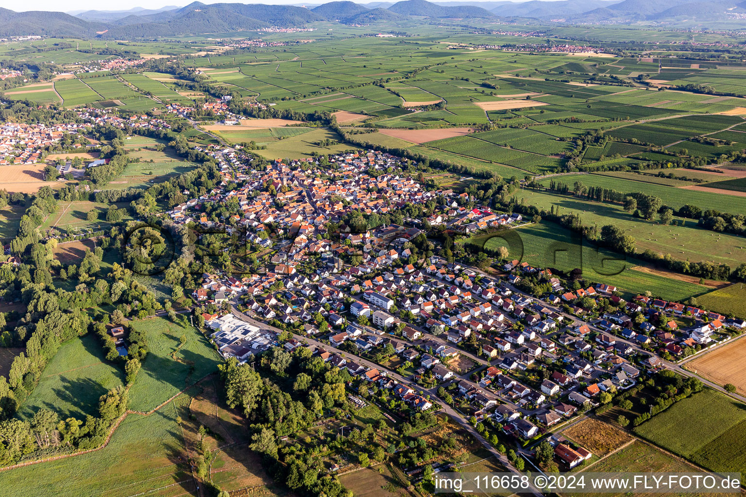 Quartier Billigheim in Billigheim-Ingenheim dans le département Rhénanie-Palatinat, Allemagne hors des airs