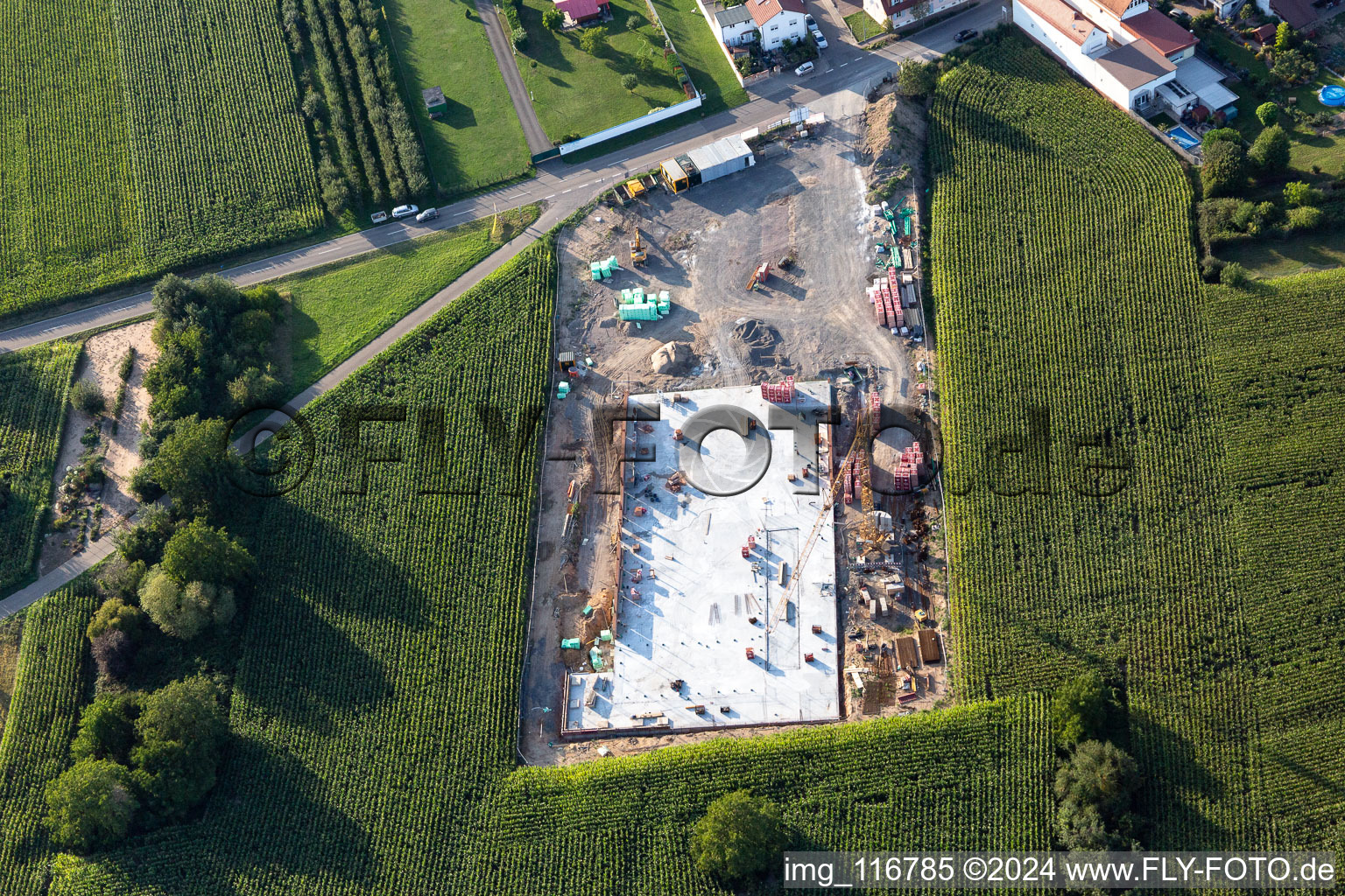 Vue aérienne de Démantèlement Lidl à le quartier Heiligenstein in Römerberg dans le département Rhénanie-Palatinat, Allemagne