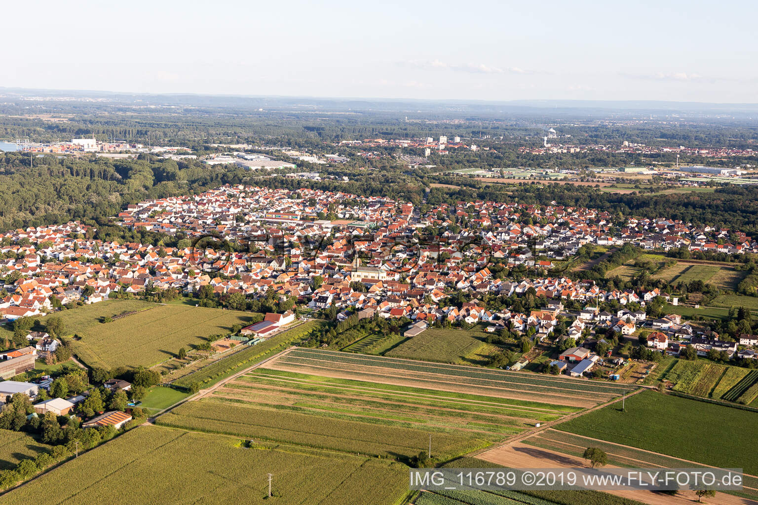 Lingenfeld dans le département Rhénanie-Palatinat, Allemagne vue d'en haut