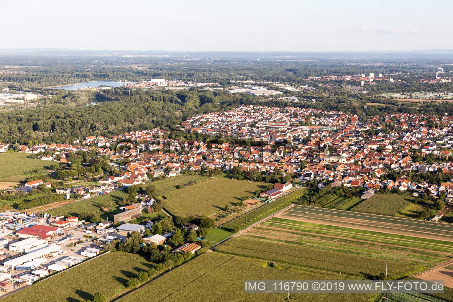 Lingenfeld dans le département Rhénanie-Palatinat, Allemagne depuis l'avion