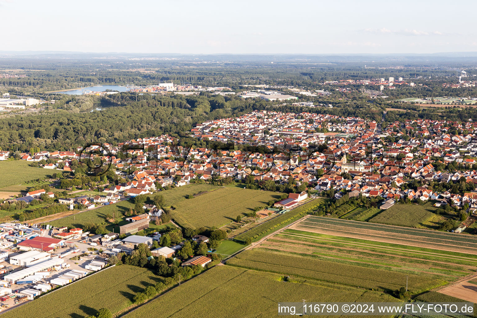 Lingenfeld dans le département Rhénanie-Palatinat, Allemagne depuis l'avion