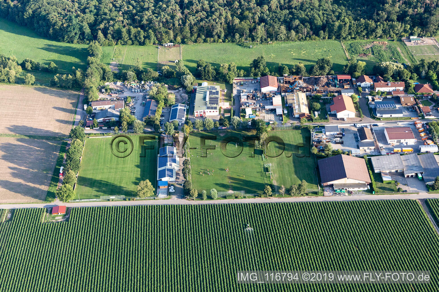 Vue aérienne de FC Lustadt eV à Lustadt dans le département Rhénanie-Palatinat, Allemagne