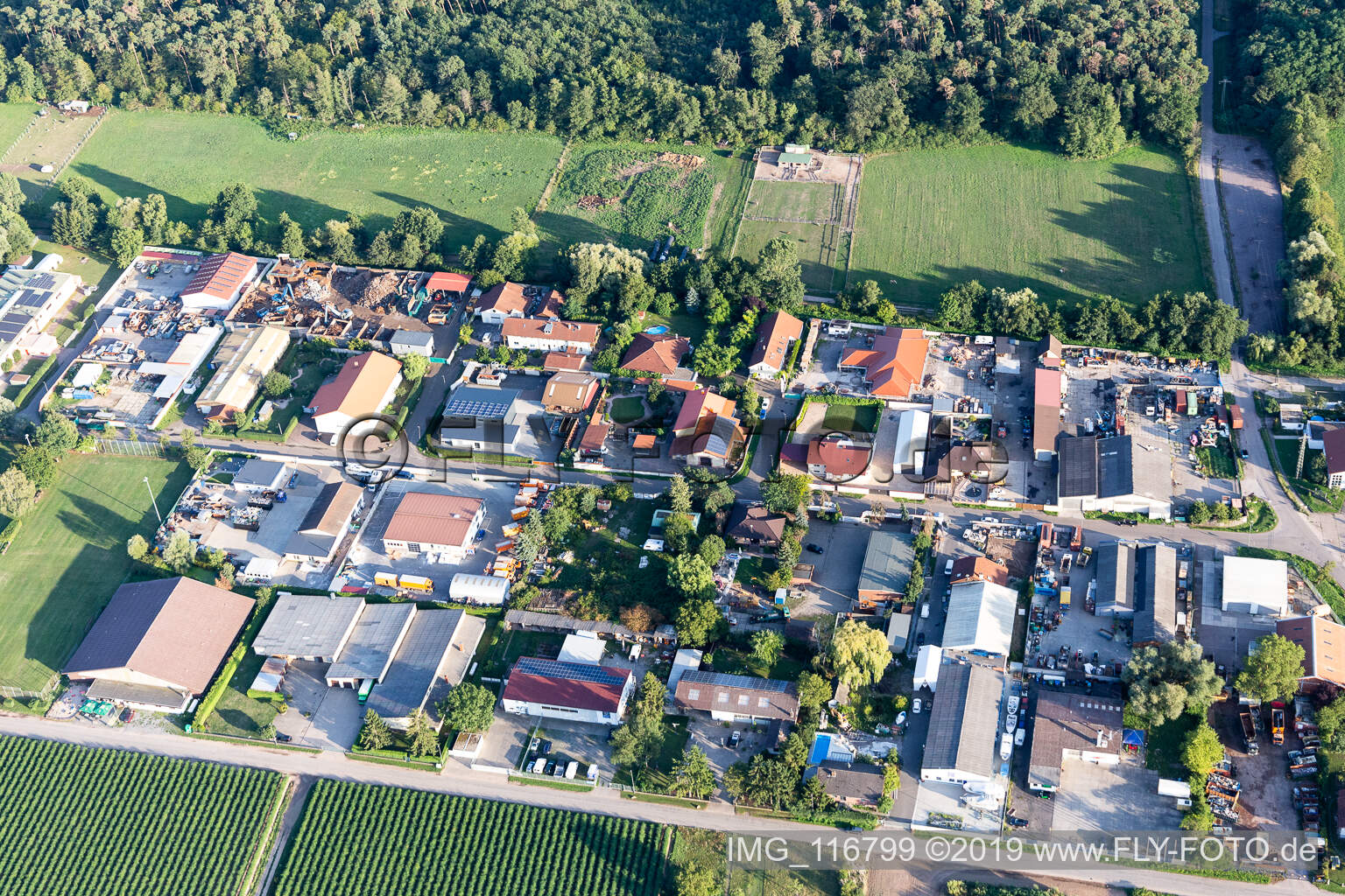 Vue aérienne de Zone industrielle Am Unteren Griesweg avec C-Tec KFT à Lustadt dans le département Rhénanie-Palatinat, Allemagne