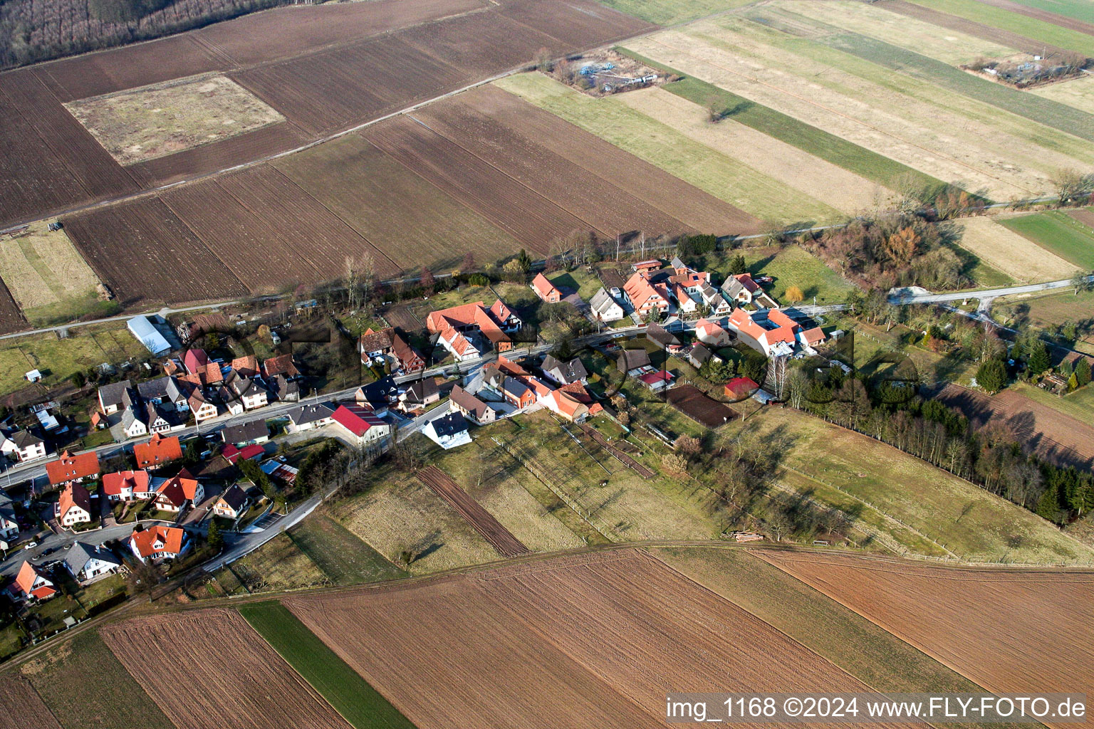 Vue d'oiseau de Niederlauterbach dans le département Bas Rhin, France