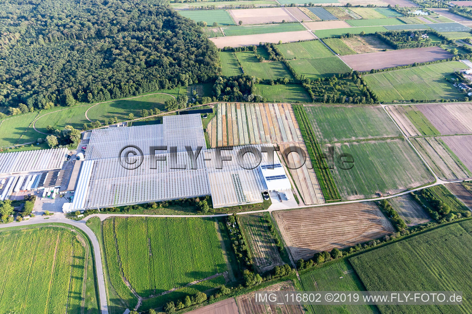 Photographie aérienne de Rudolf Sinn Young Plants GmbH à Lustadt dans le département Rhénanie-Palatinat, Allemagne