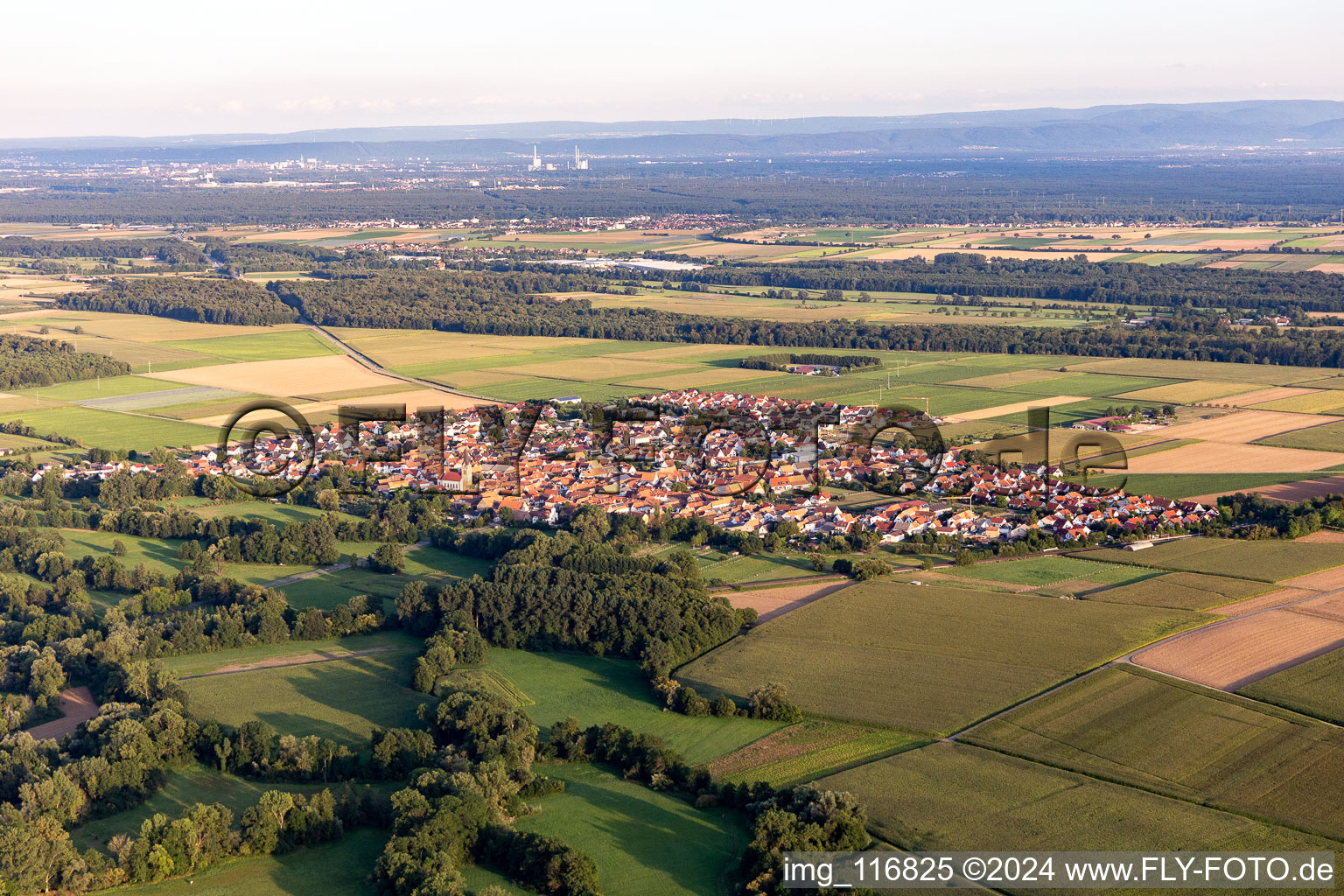 Photographie aérienne de Steinweiler dans le département Rhénanie-Palatinat, Allemagne