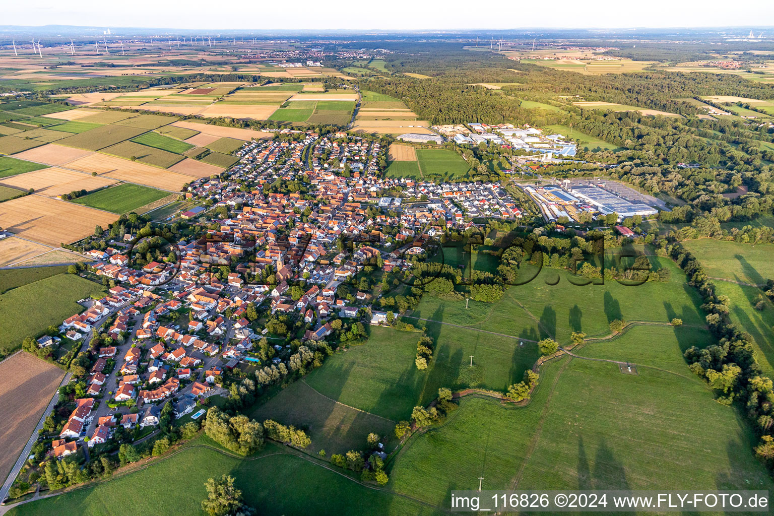 Champs agricoles et surfaces utilisables à Rohrbach dans le département Rhénanie-Palatinat, Allemagne hors des airs