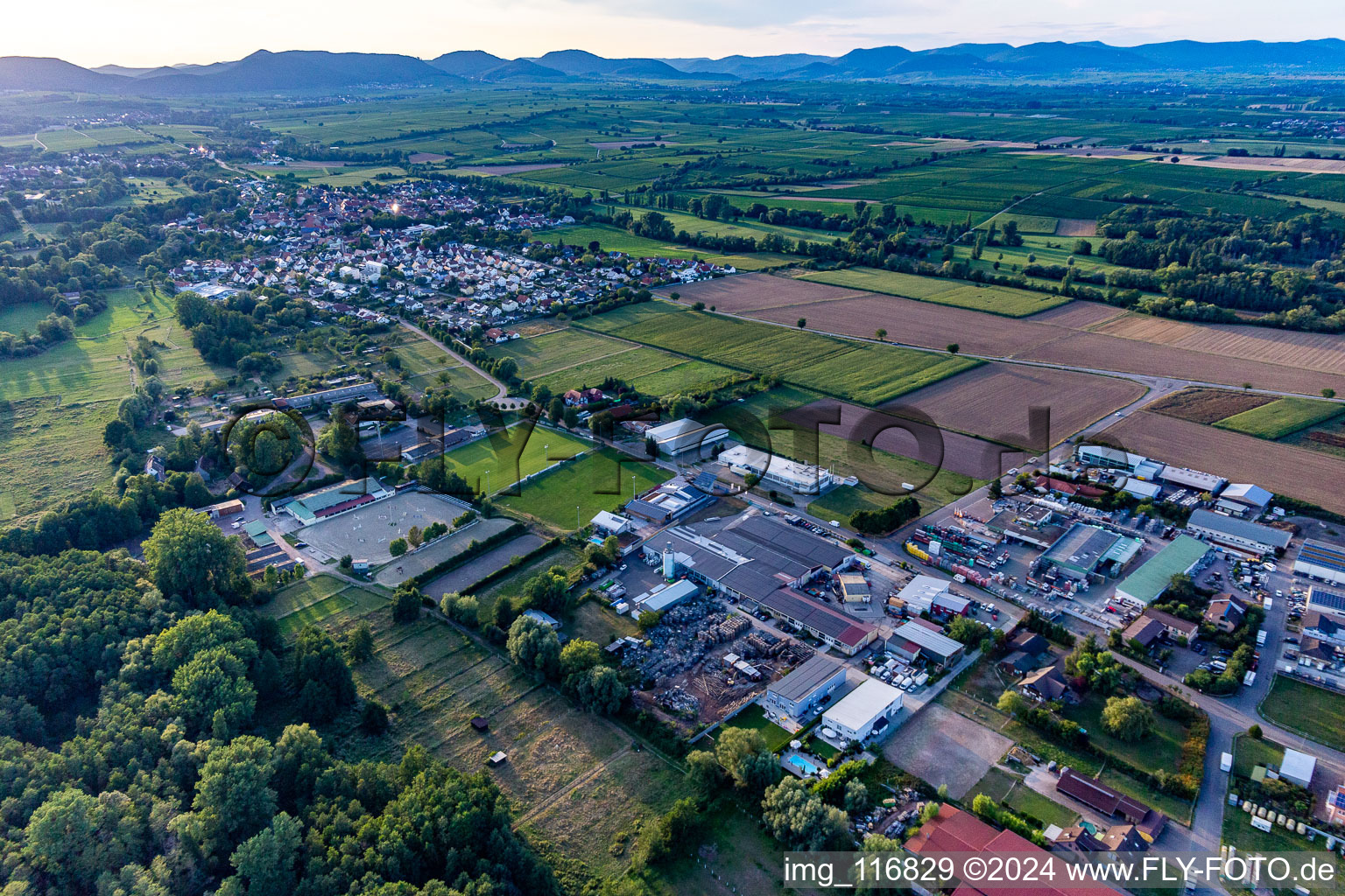 Vue aérienne de Club d'équitation et de conduite eV à le quartier Billigheim in Billigheim-Ingenheim dans le département Rhénanie-Palatinat, Allemagne