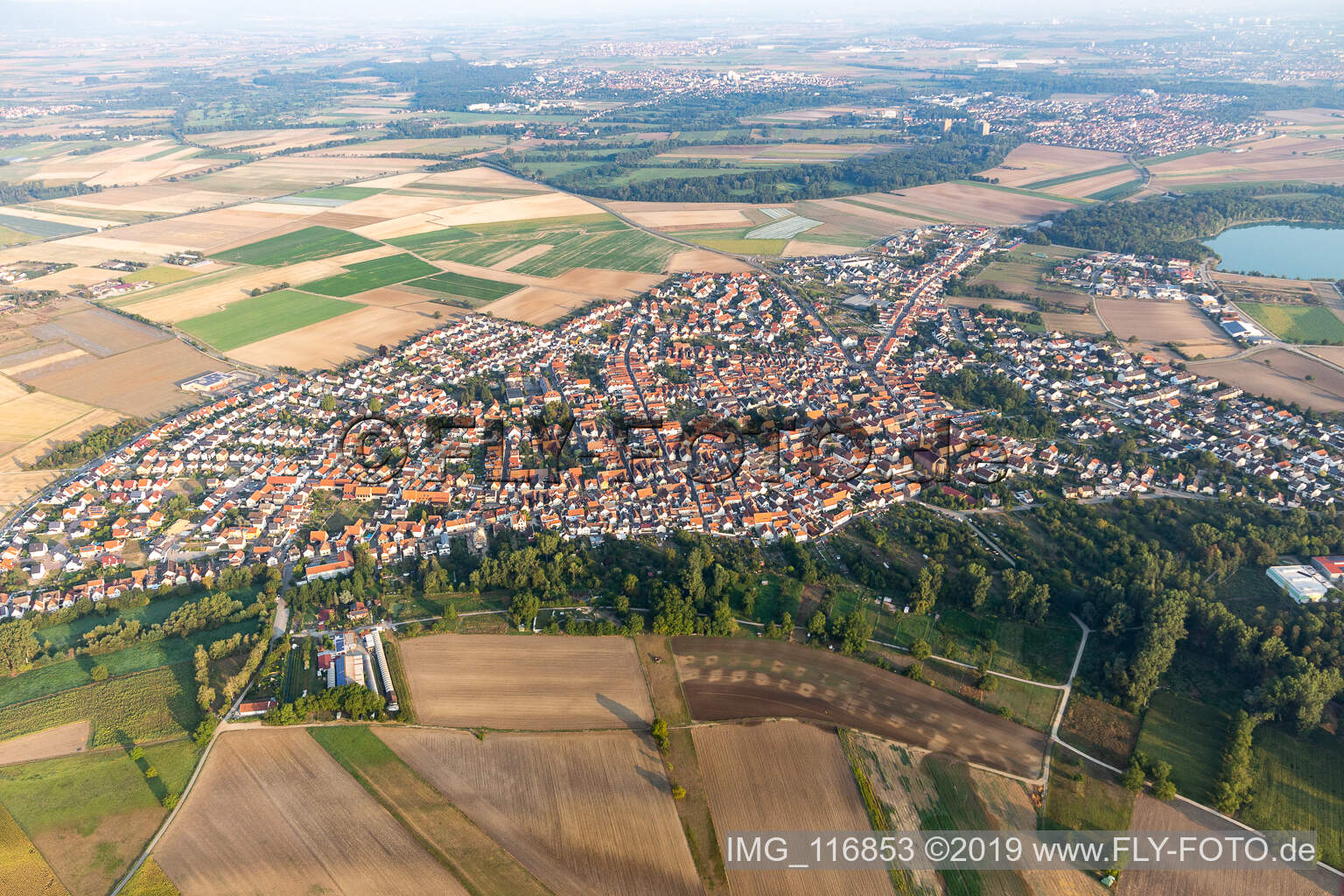 Vue aérienne de Waldsee dans le département Rhénanie-Palatinat, Allemagne