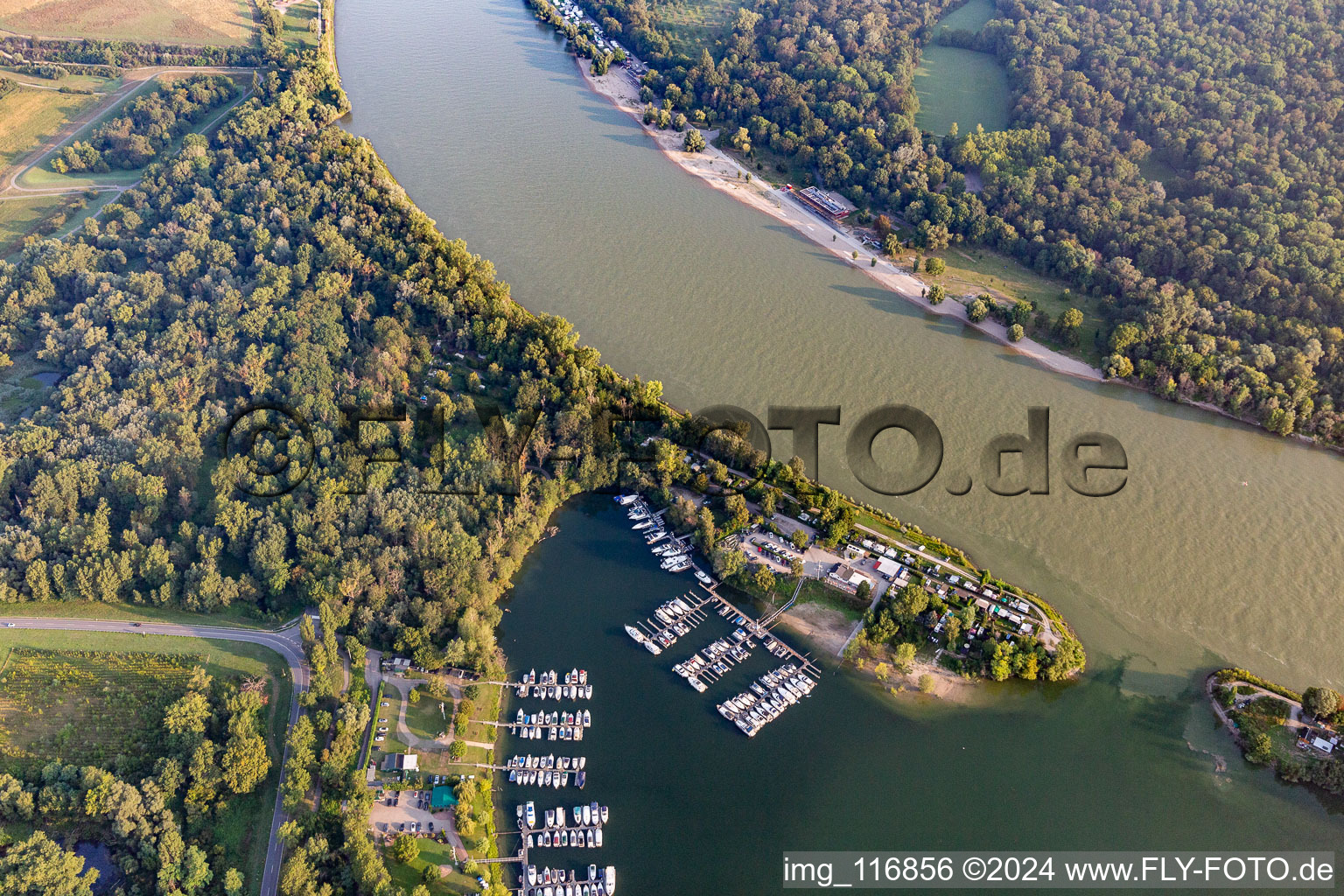 Vue aérienne de Port de plaisance de Kiefweiher à le quartier Rheingönheim in Ludwigshafen am Rhein dans le département Rhénanie-Palatinat, Allemagne