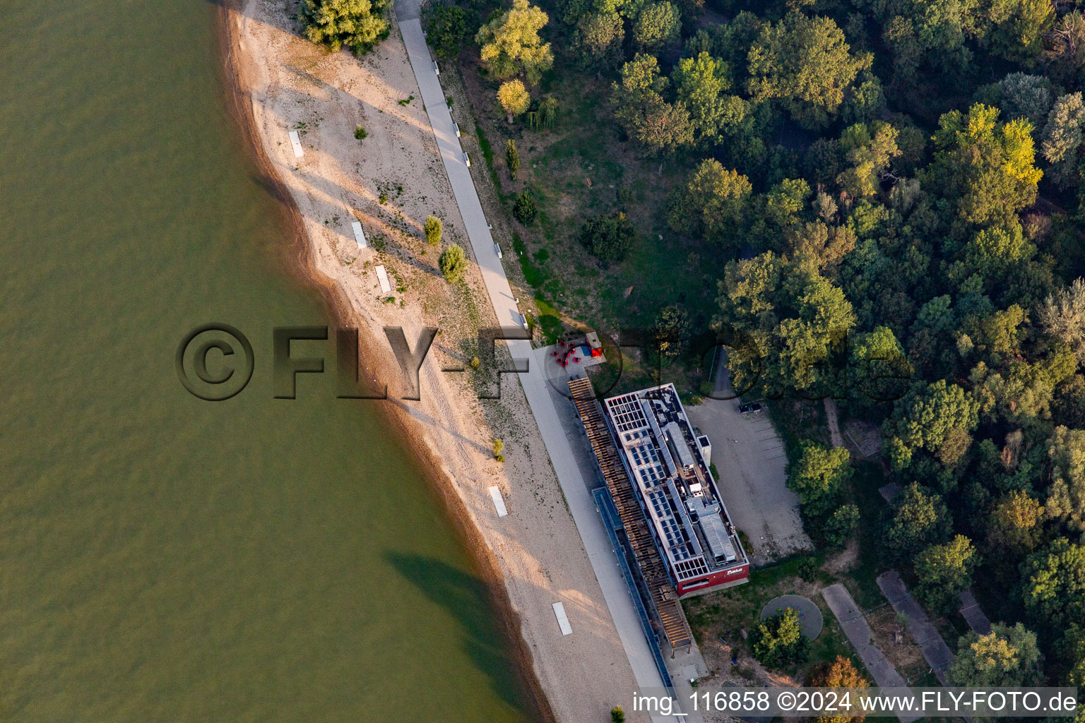 Vue aérienne de Zones riveraines du Rhin du Strandbad-Mannheim-Neckarau avec le restaurant Purino à le quartier Niederfeld in Mannheim dans le département Bade-Wurtemberg, Allemagne