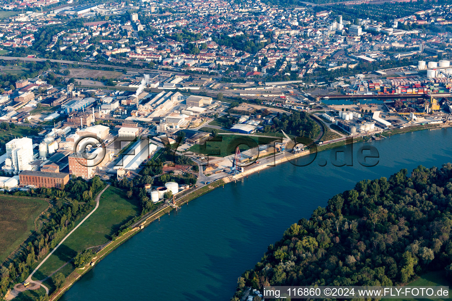 Vue aérienne de ICL Allemagne à le quartier Rheingönheim in Ludwigshafen am Rhein dans le département Rhénanie-Palatinat, Allemagne