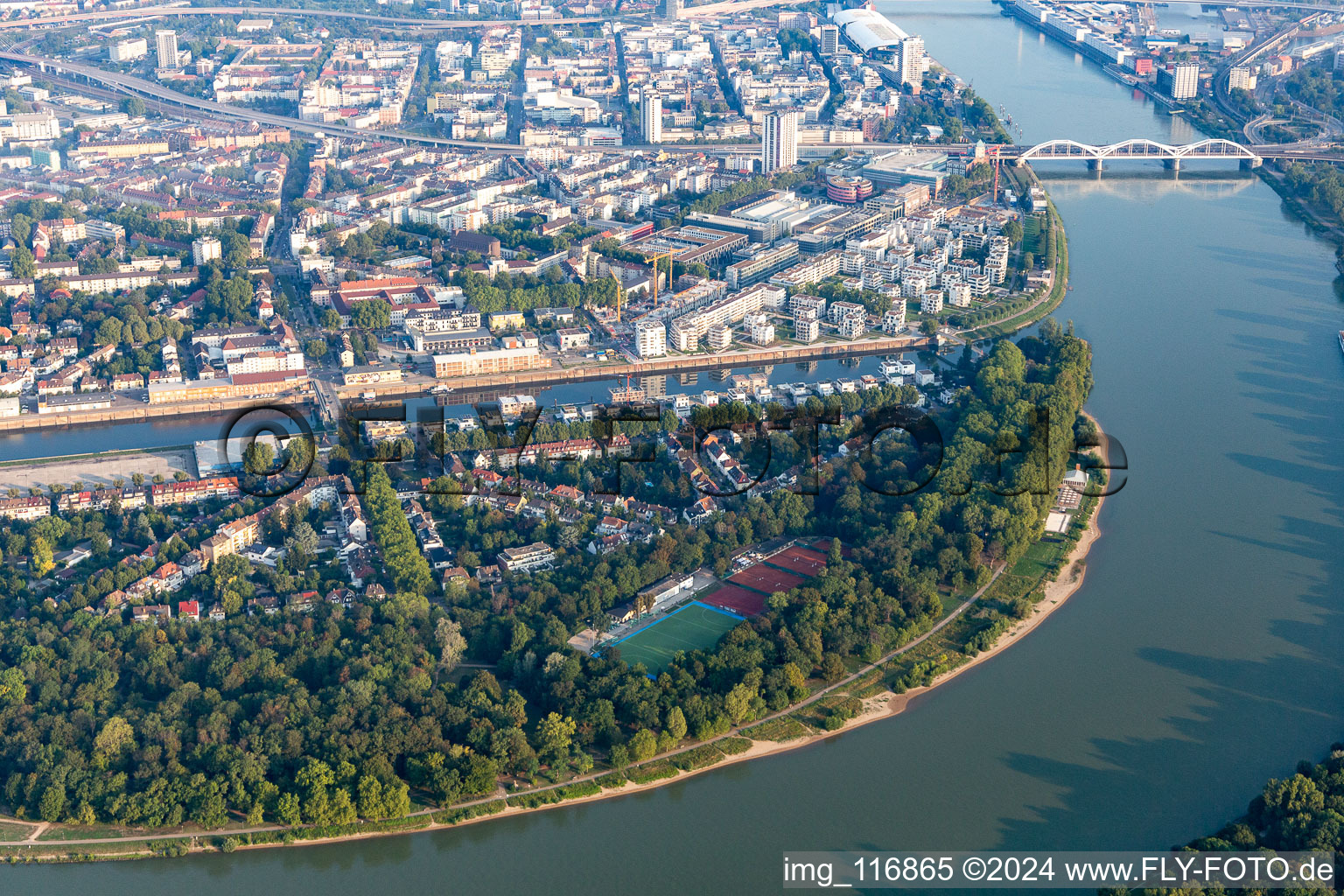 Vue aérienne de Parc urbain de l'île Park sur le Rhin à le quartier Süd in Ludwigshafen am Rhein dans le département Rhénanie-Palatinat, Allemagne