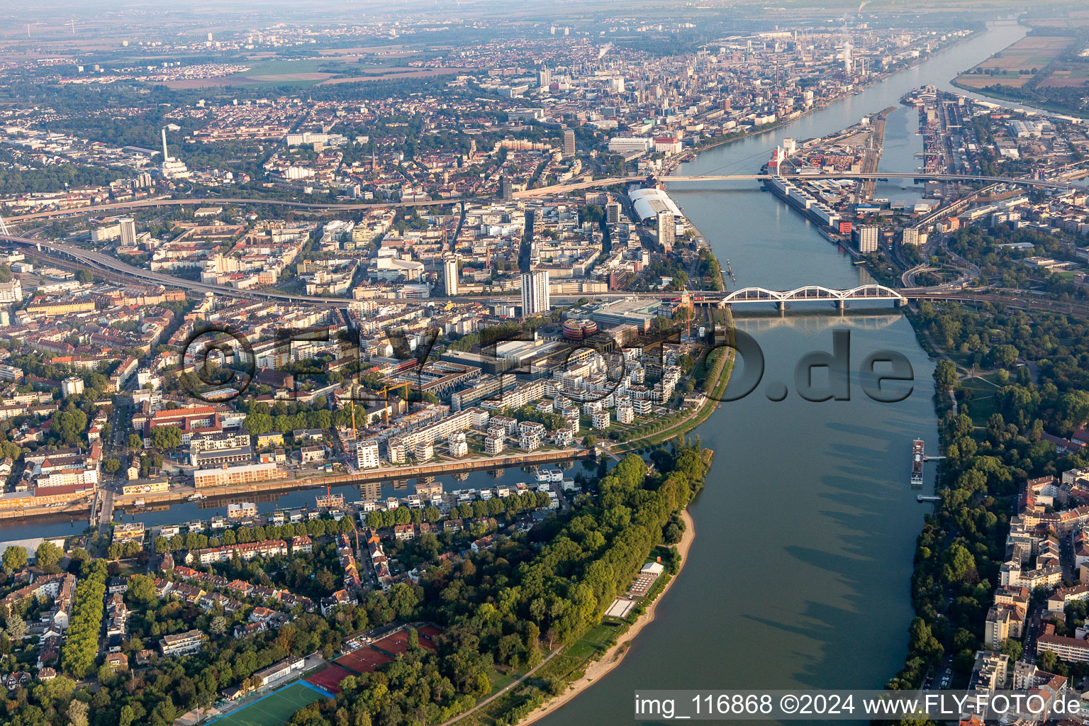 Vue aérienne de Zone résidentielle au bord du fleuve, au bord du Rhin, sur la Rheinschanzenpromenade à le quartier Süd in Ludwigshafen am Rhein dans le département Rhénanie-Palatinat, Allemagne