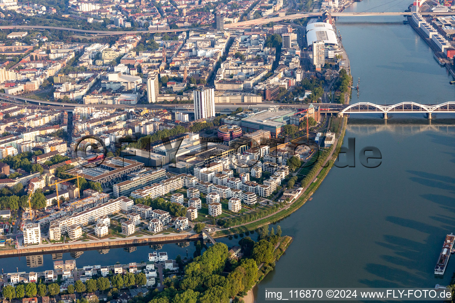 Vue aérienne de Zone résidentielle au bord du fleuve, au bord du Rhin, sur la Rheinschanzenpromenade à le quartier Süd in Ludwigshafen am Rhein dans le département Rhénanie-Palatinat, Allemagne