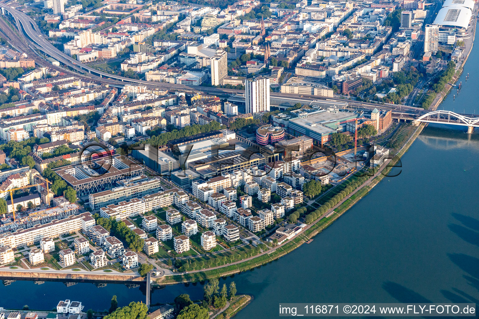 Vue aérienne de Zone résidentielle au bord du fleuve, au bord du Rhin, entre la Walzmühle et la Rheinschanzenpromenade à le quartier Süd in Ludwigshafen am Rhein dans le département Rhénanie-Palatinat, Allemagne