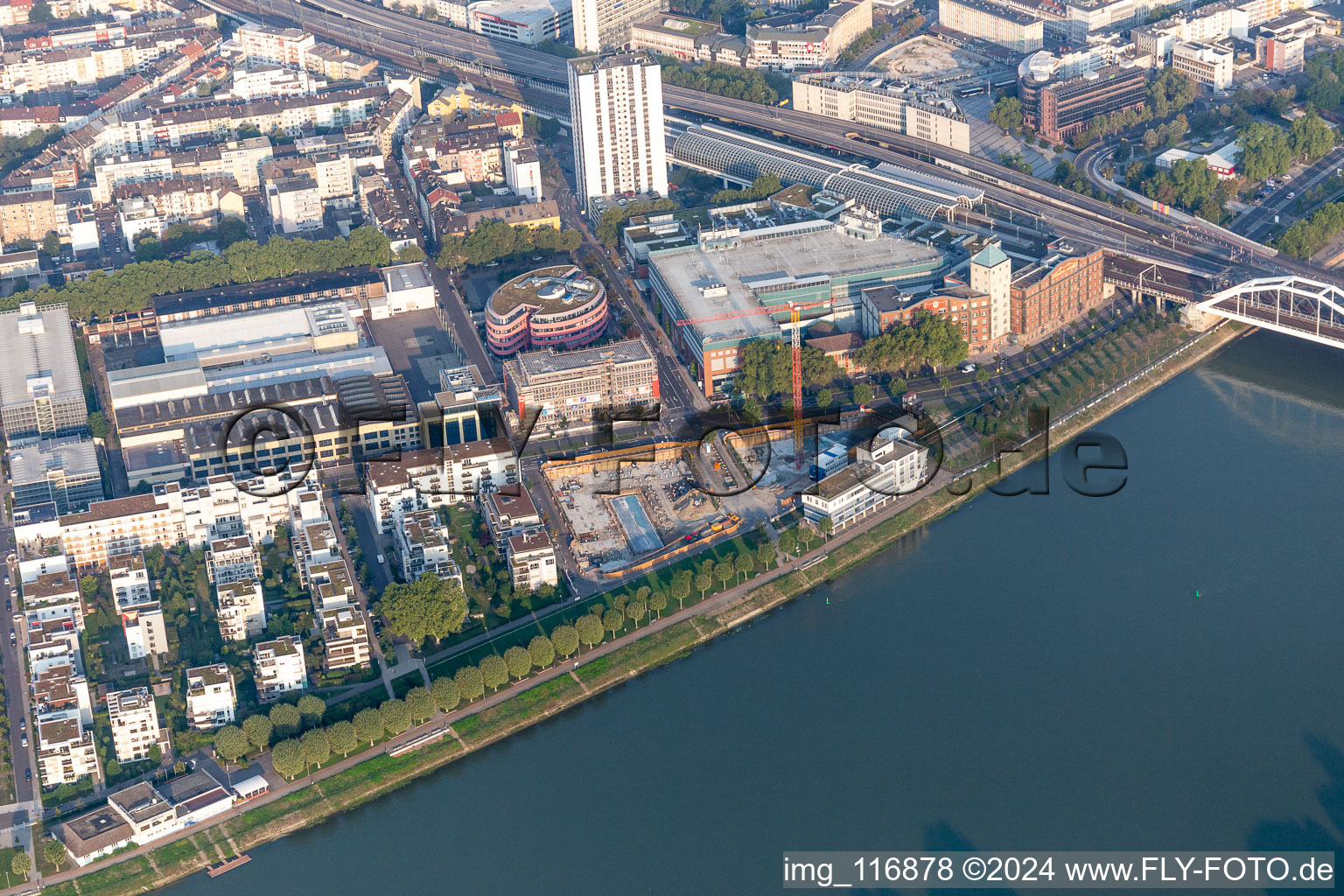 Vue aérienne de Zone résidentielle au bord du fleuve, au bord du Rhin, entre la Walzmühle et la Rheinschanzenpromenade à le quartier Süd in Ludwigshafen am Rhein dans le département Rhénanie-Palatinat, Allemagne