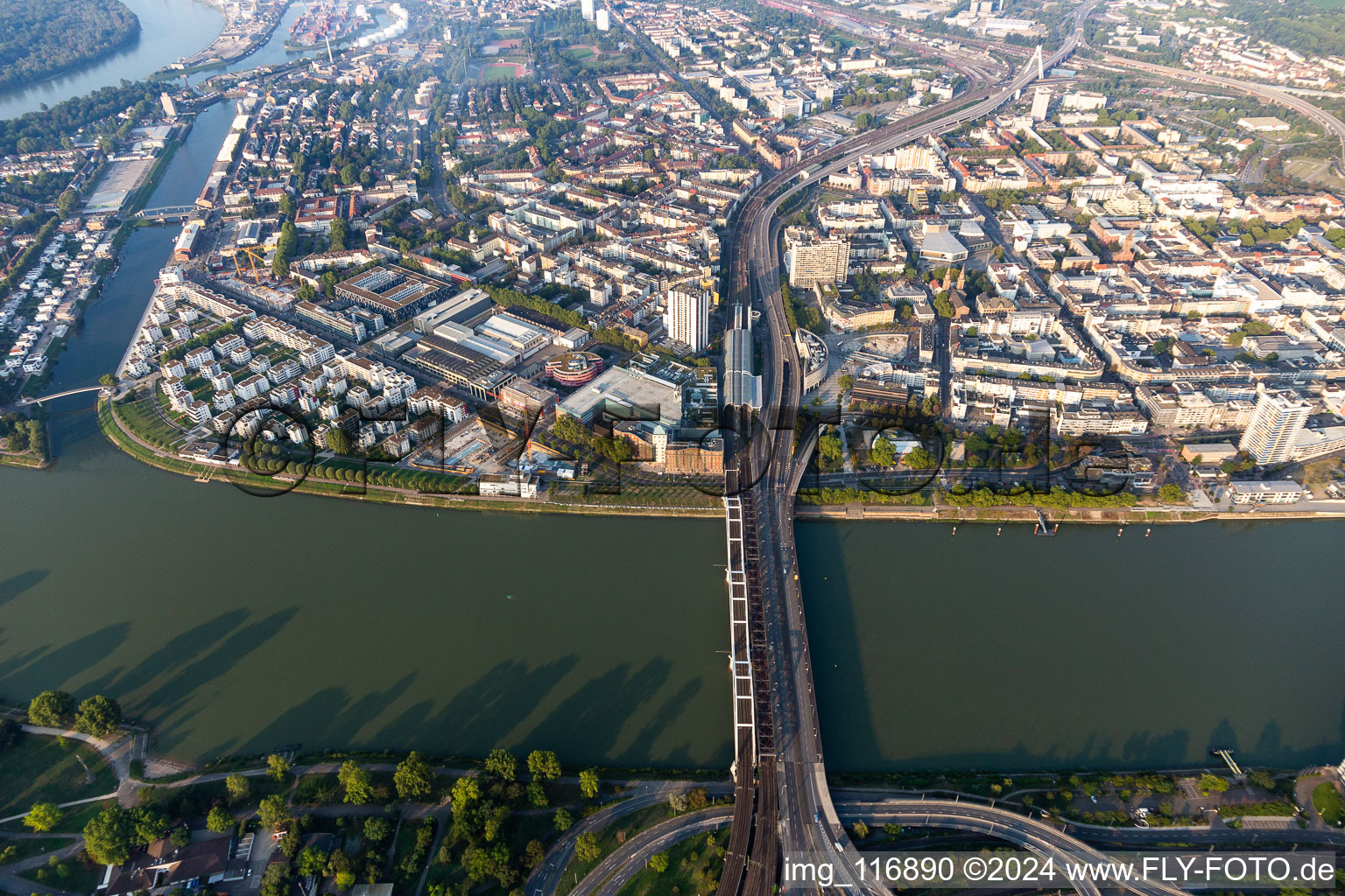 Vue aérienne de Quartier résidentiel du lotissement collectif sur la promenade du Rhin - Rheinallee à le quartier Süd in Ludwigshafen am Rhein dans le département Rhénanie-Palatinat, Allemagne