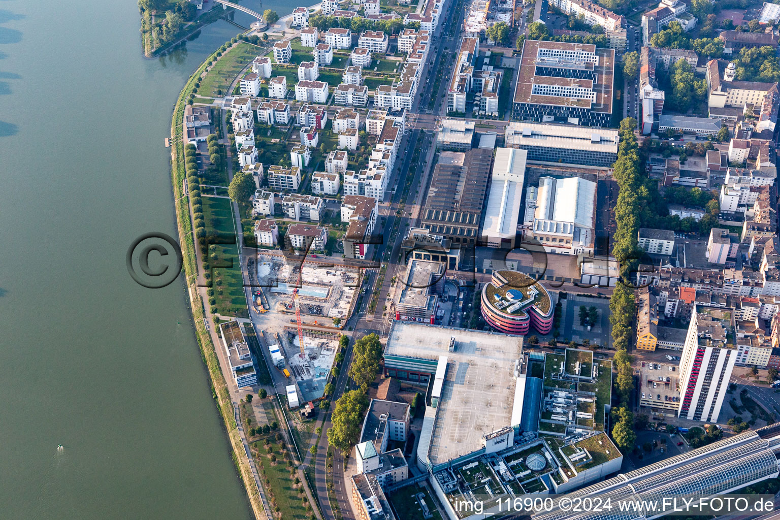 Vue aérienne de Vivre au bord de la rivière, Rheinschanzenpromenade à le quartier Süd in Ludwigshafen am Rhein dans le département Rhénanie-Palatinat, Allemagne