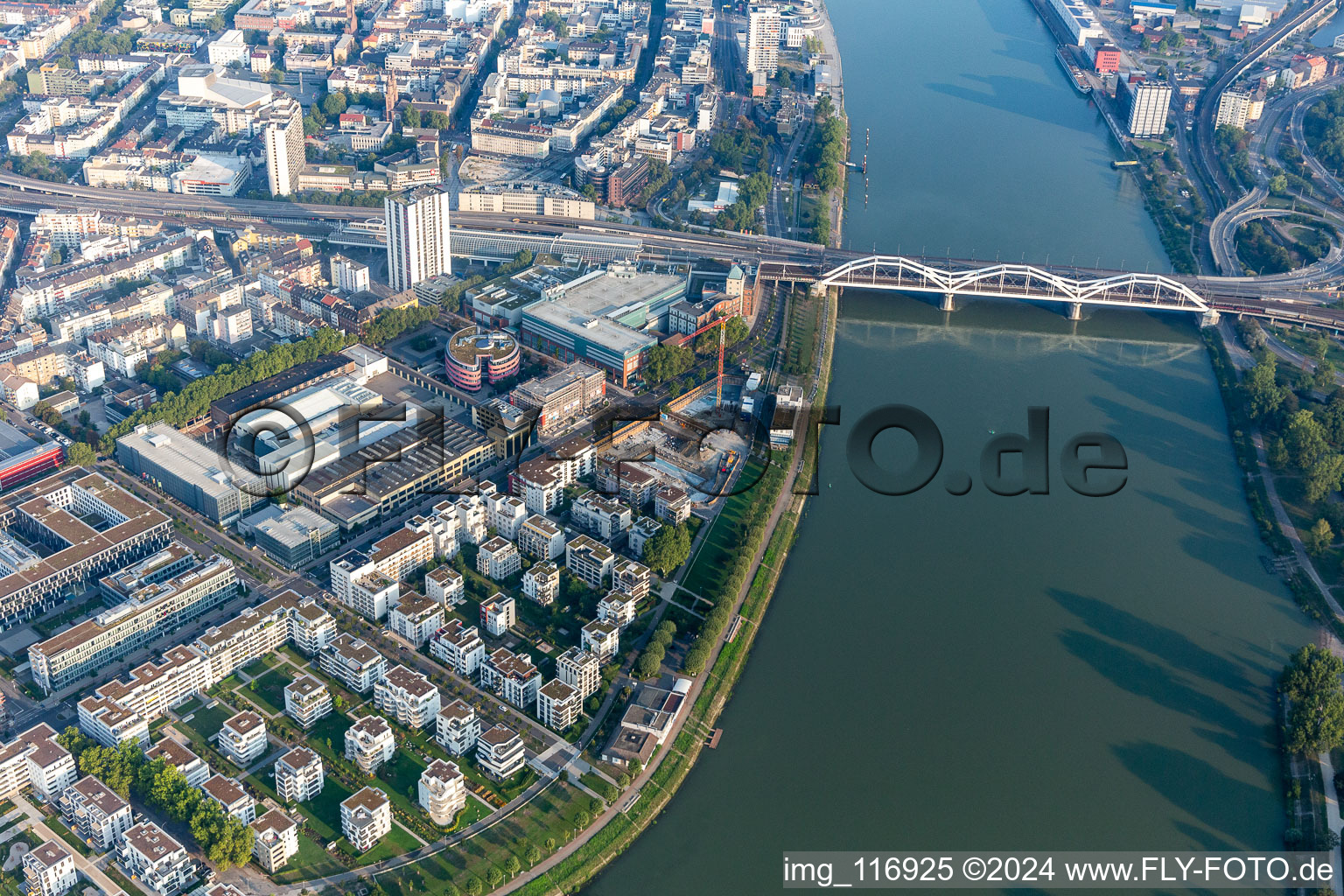 Vivre au bord de la rivière, Rheinschanzenpromenade à le quartier Süd in Ludwigshafen am Rhein dans le département Rhénanie-Palatinat, Allemagne d'en haut