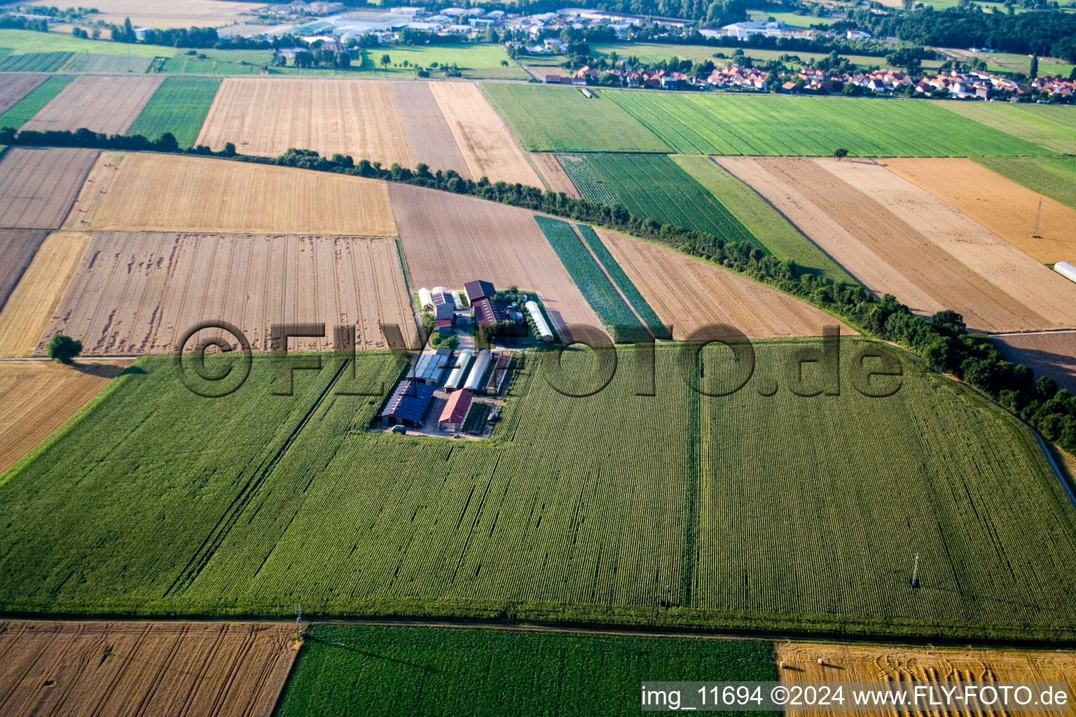 Vue aérienne de Aussiedlerhof sur le Höhenweg à Kandel dans le département Rhénanie-Palatinat, Allemagne