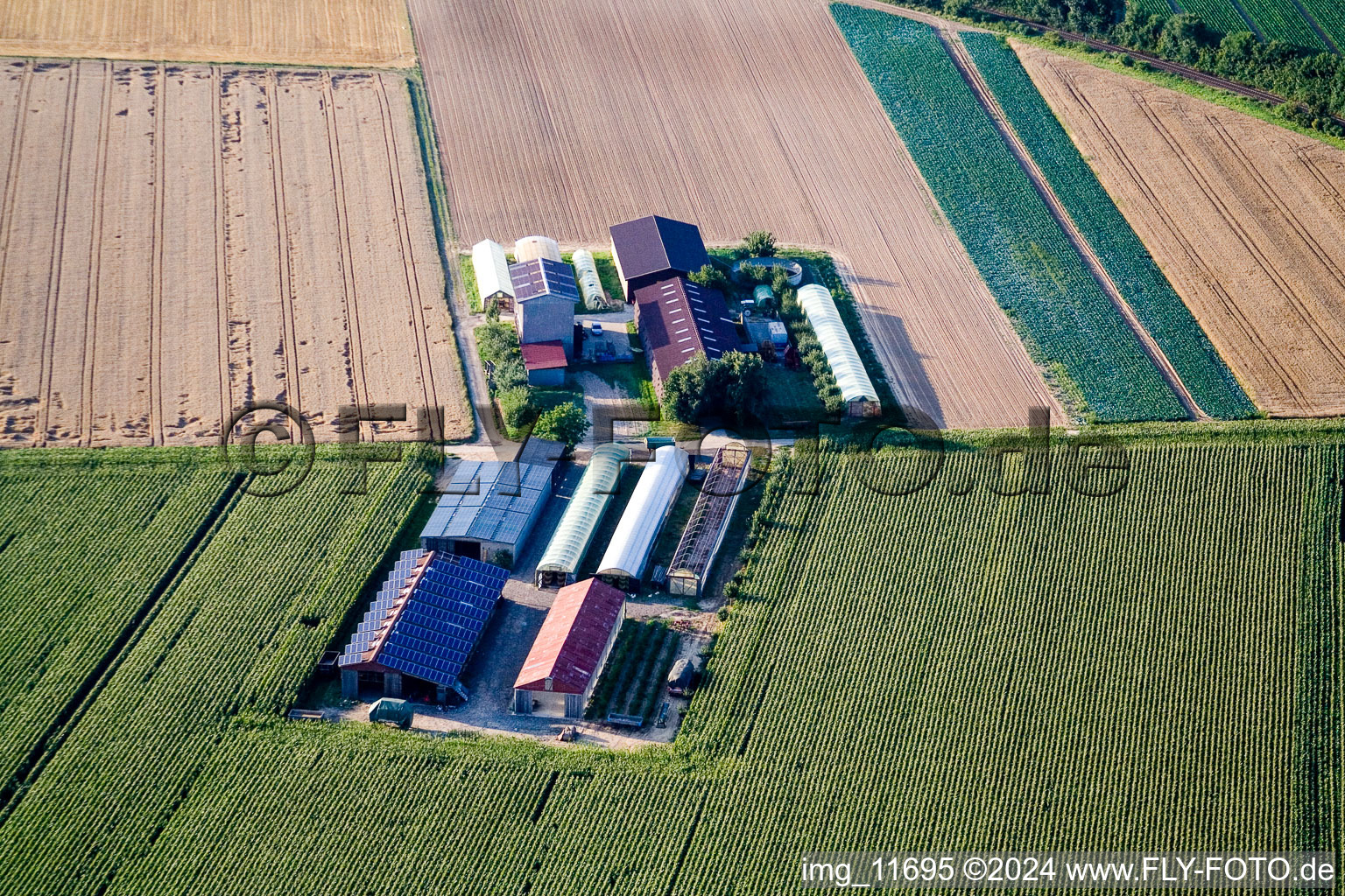 Vue aérienne de Aussiedlerhof sur le Höhenweg à Kandel dans le département Rhénanie-Palatinat, Allemagne