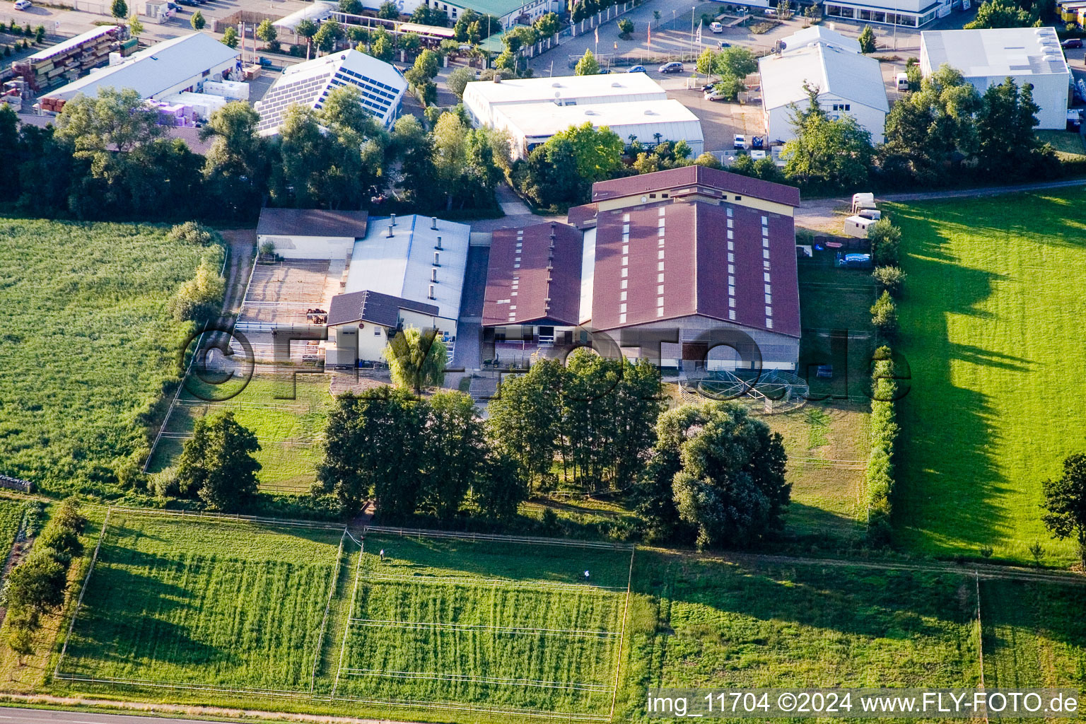 Vue aérienne de Ferme équestre à le quartier Minderslachen in Kandel dans le département Rhénanie-Palatinat, Allemagne