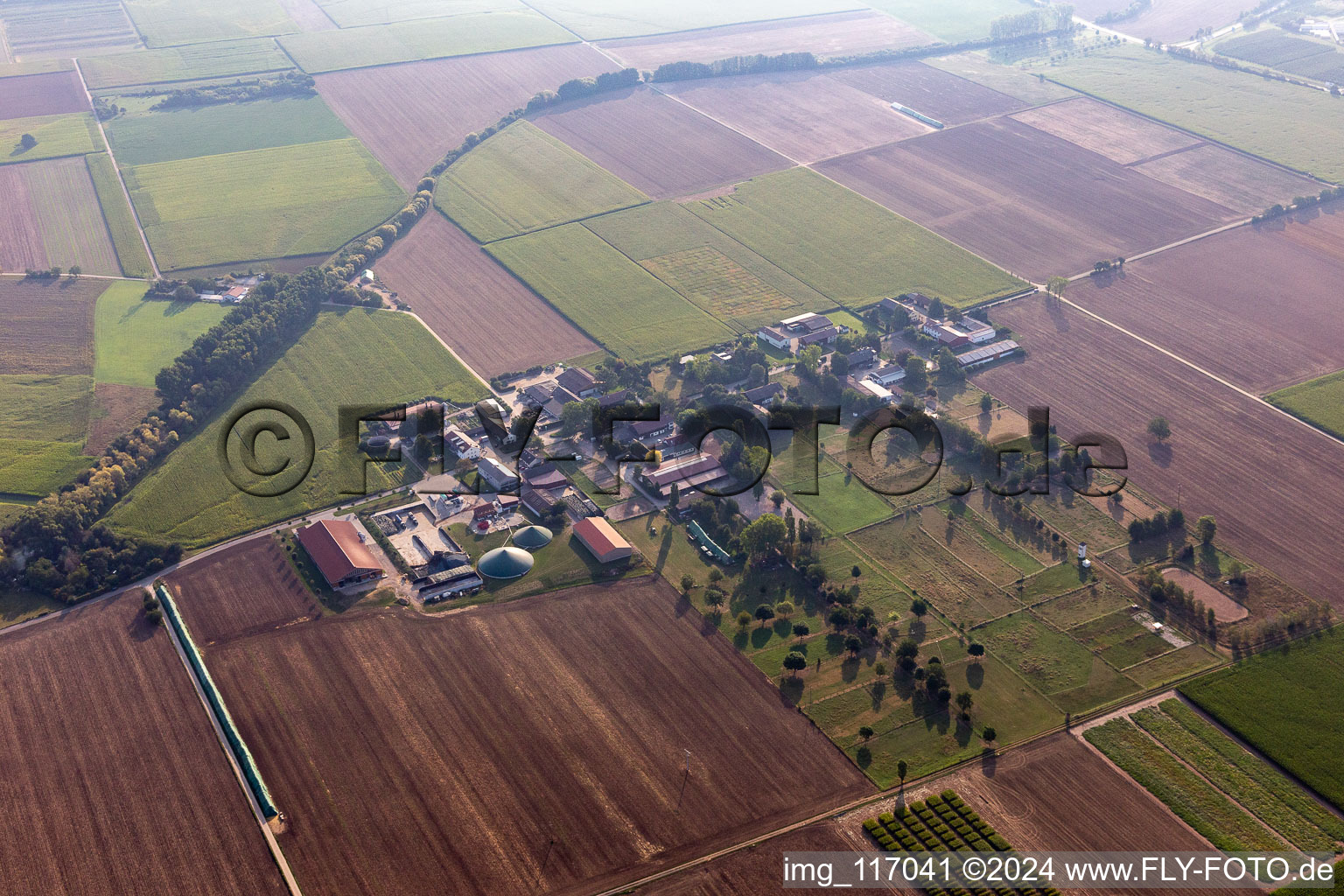 Vue oblique de Ladenburg dans le département Bade-Wurtemberg, Allemagne