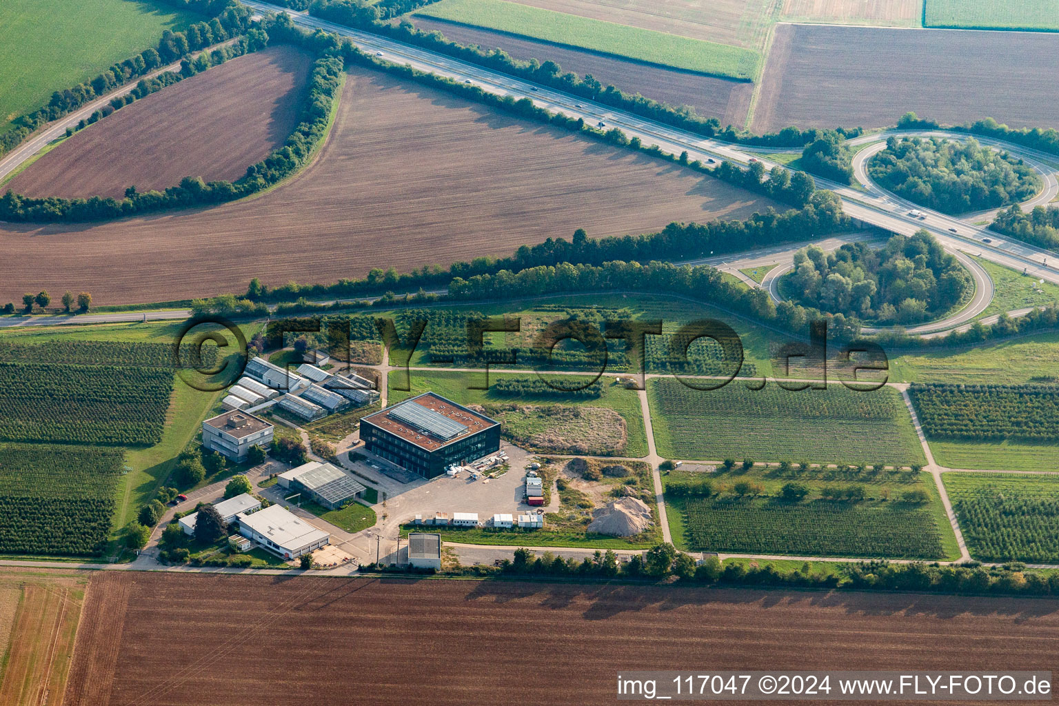 Vue aérienne de Complexe immobilier de l'Institut Julius Kühn à Dossenheim dans le département Bade-Wurtemberg, Allemagne